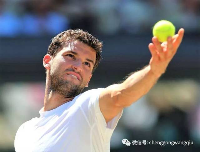 年内完成了 年内完成了