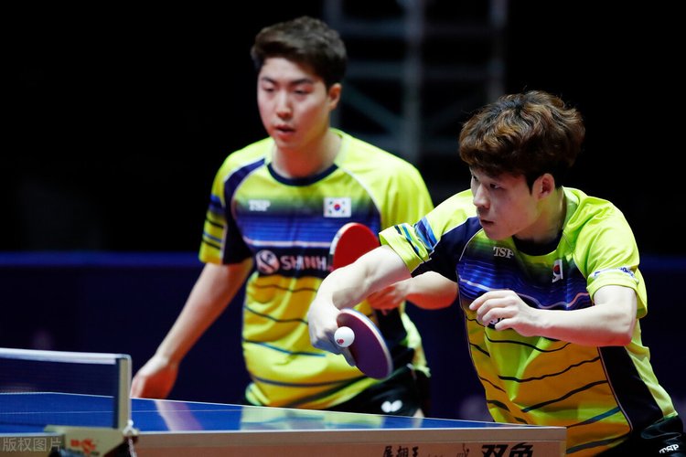 能树与装备 能树与装备