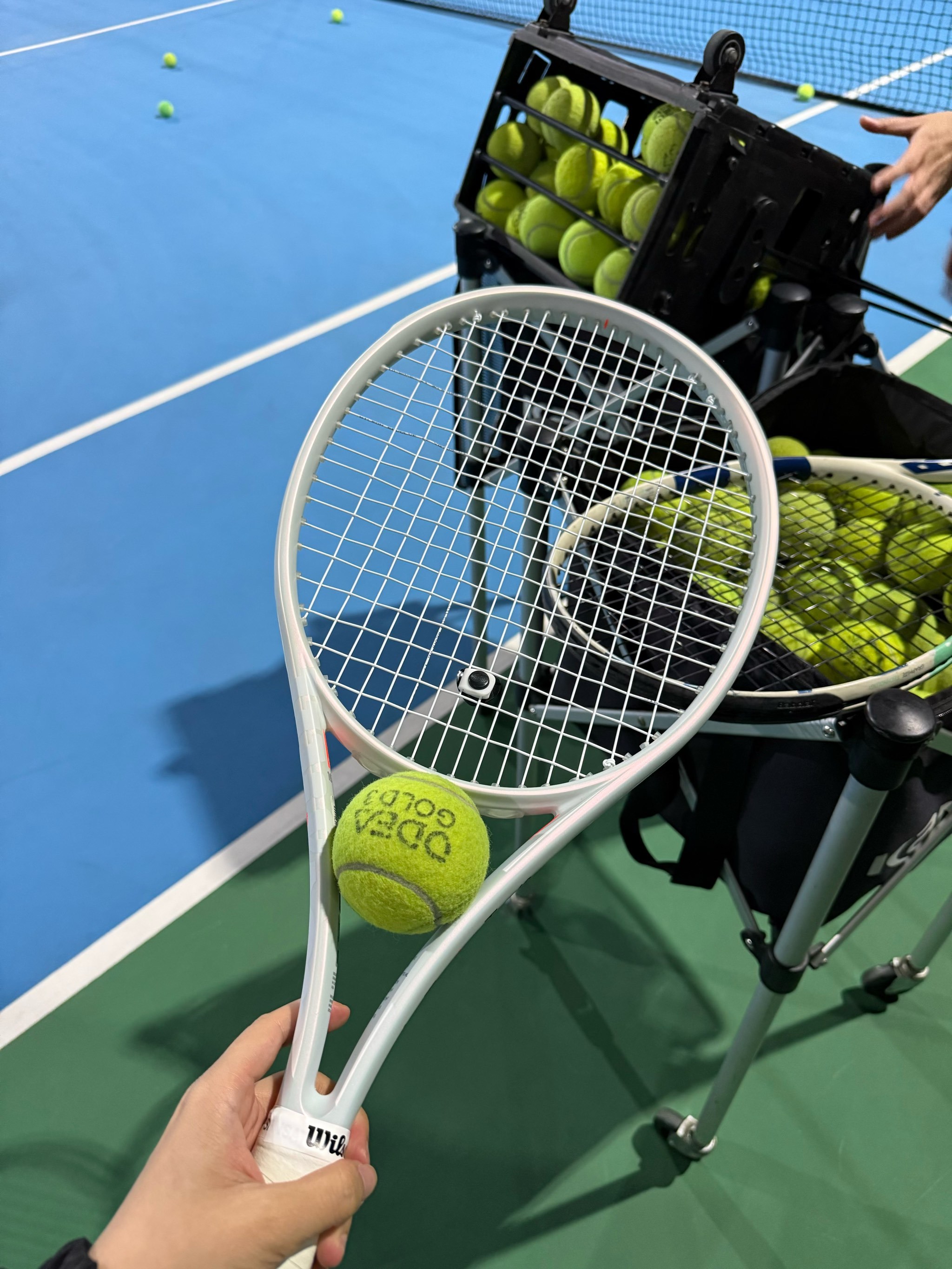 数据回暖 数据回暖