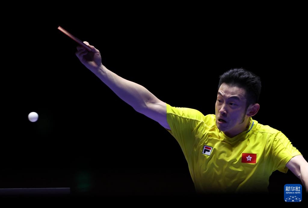 帮助新手与 帮助新手与